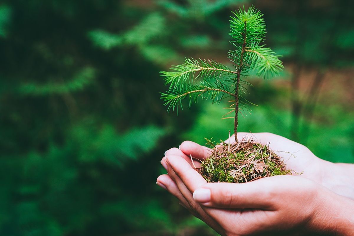 Epes Transport System Renews Commitment to Environmental Leadership Through EPA SmartWay® Partnership