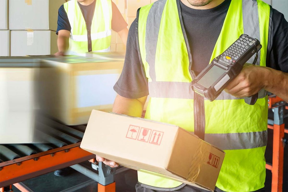 The Power of Reliability: Why Southeast Businesses Trust Full Truckload Carriers for their Shipping Needs